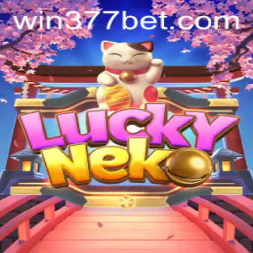 Discovering the Charm of LuckyNeko and the Excitement of 377BET